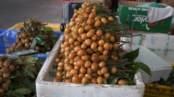 广州市水果市场热闹吗,广州水果市场有杨梅