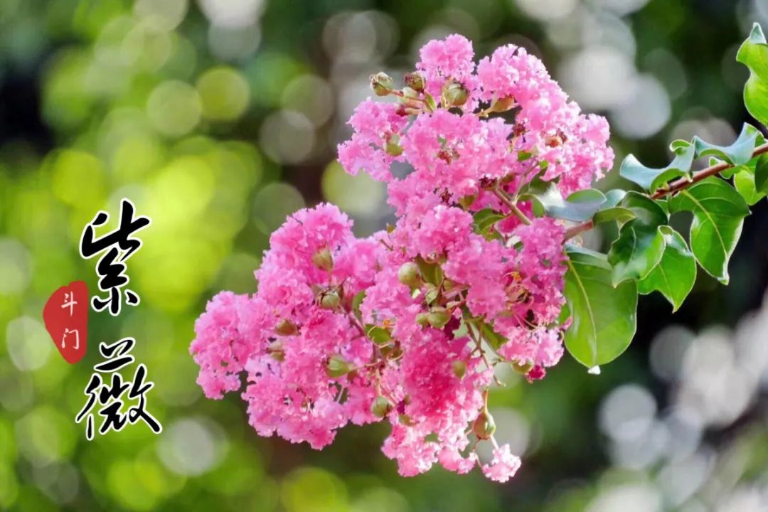 喜欢拍照的快来打卡,想去拍照的景点