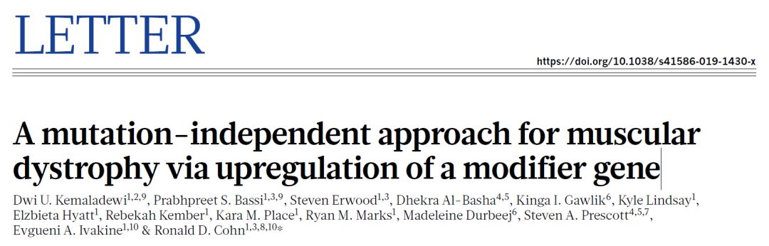 进行性肌营养不良基因改造,杜氏肌营养不良基因疗法最新进展