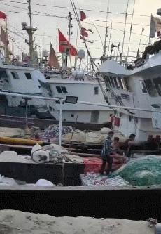 鑲ョ編鐨勫ぇ娴烽矞,鑲ョ編鐨勫ぇ姊瓙锜瑰張鏉ヤ簡