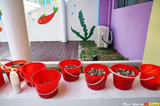 在礐石居然有这么一个世外桃源,日照有哪些海滩可以免费赶海