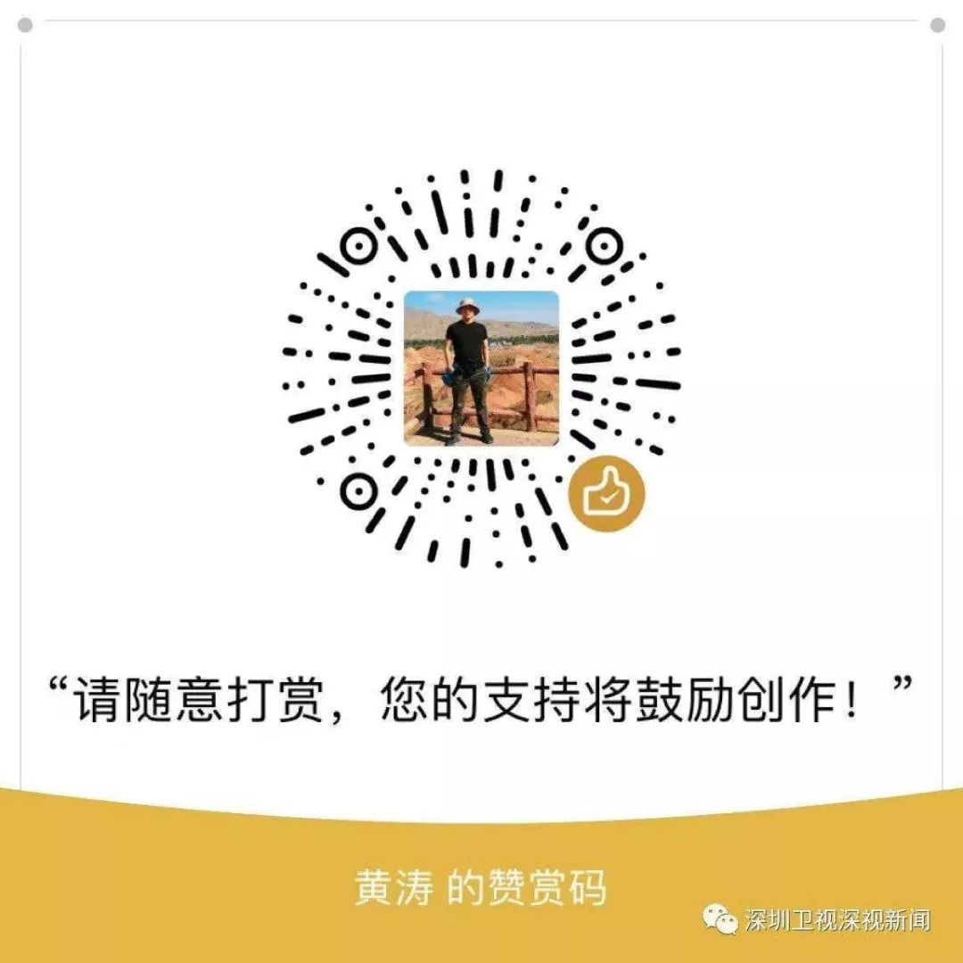 高大上深圳,德勤大湾区双创