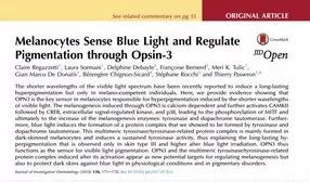 女星秒变“网瘾少女”，3C病“瘾”斑出击，失去远比看到得多