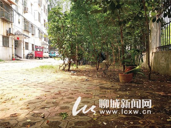 聊城市威尼斯花园17号,聊城威尼斯水城花园洋房