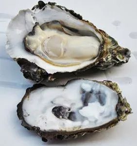 秦皇岛赶海哪里有螃蟹,秦皇岛蟹贝湾赶海