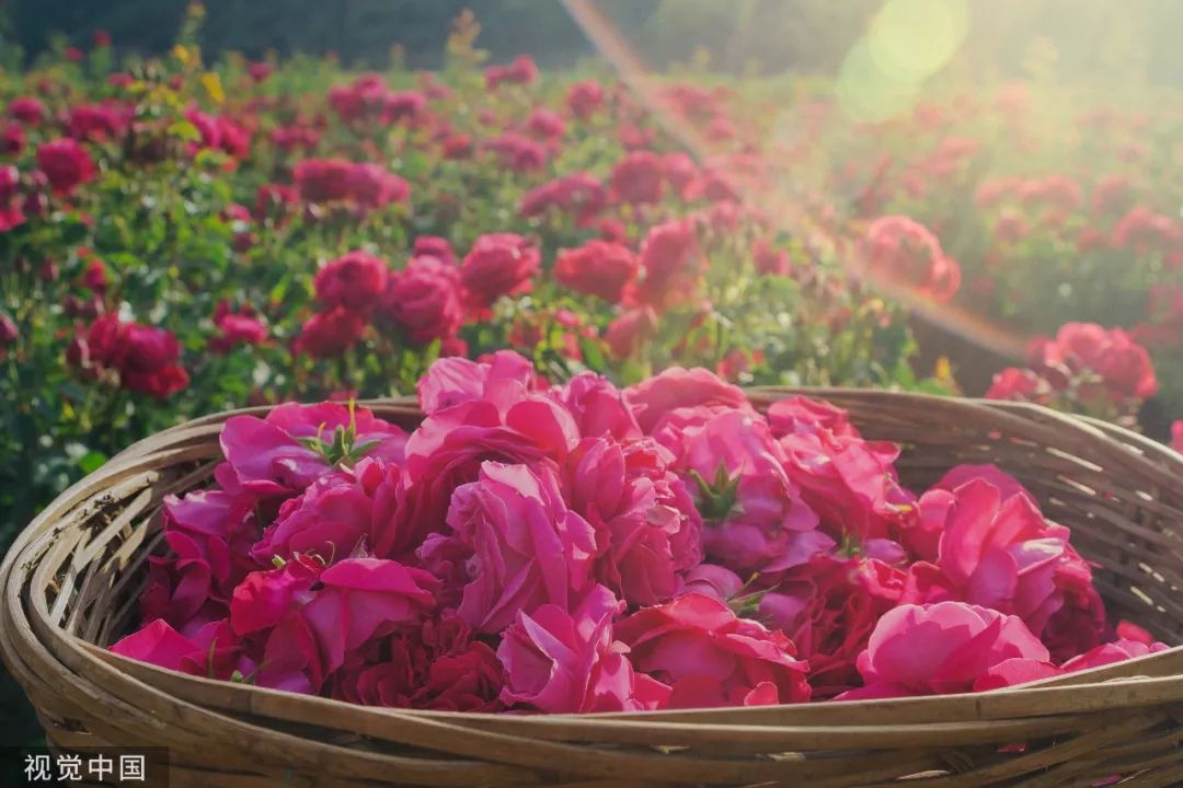 昆明到攀枝花的高铁时间表,昆明攀枝花快速铁路