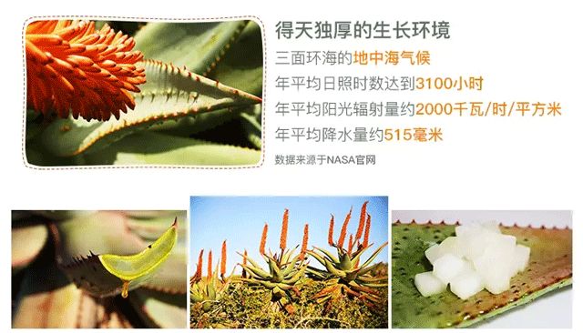 芦荟胶祛痘补水晒后修复,零添加无危害芦荟胶补水推荐