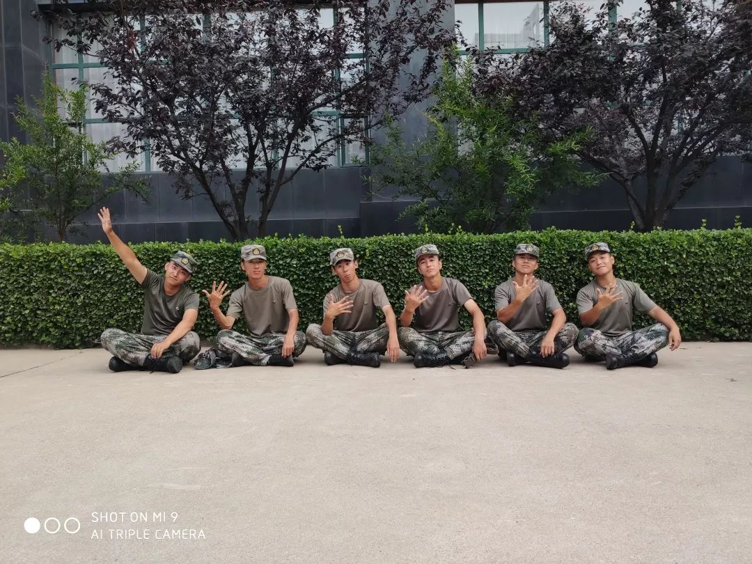 税务蓝和迷彩绿,公安蓝和海关蓝是一个颜色吗