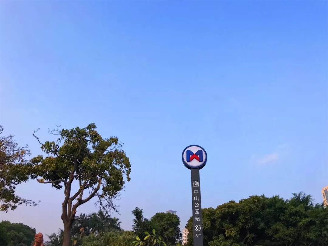 拔草厦门,厦门帆船酒店观景