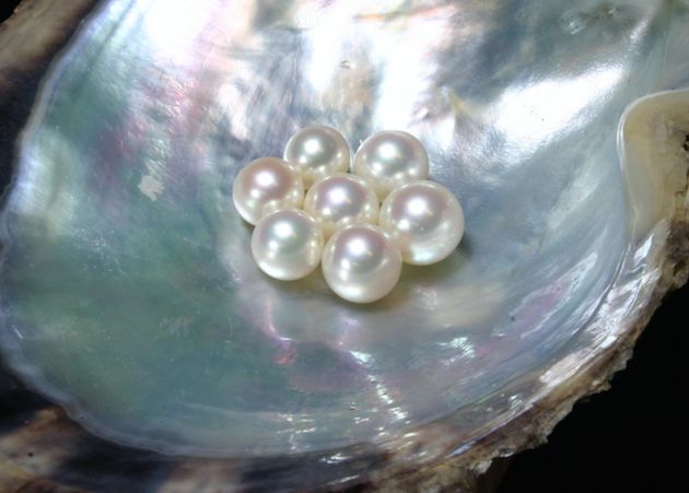 泡全球仅一家的珍珠温泉，上小众景美的雪场滑雪，99%游客都不知道的日本玩法