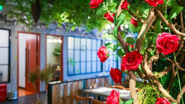 等了3年，这家神店终于开进东区，西餐+中餐+泰餐…1秒吃出国际感