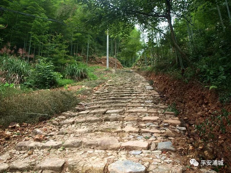 骞冲畨娴﹀煄鍓焊鍥剧墖,骞冲畨娴﹀煄