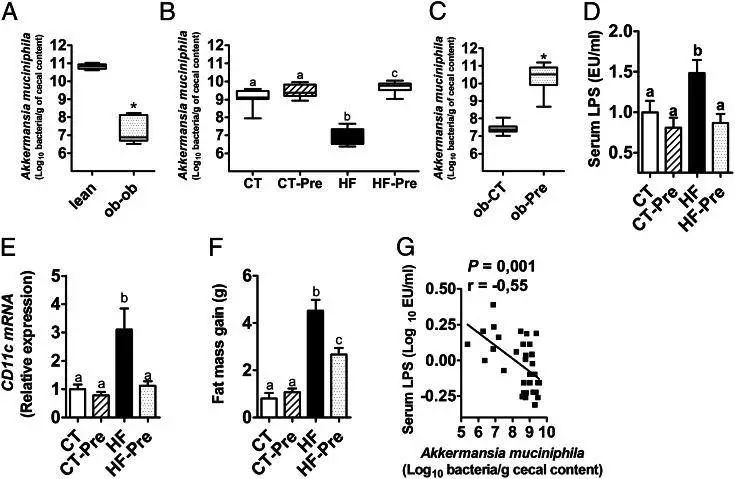 akk益生菌,益生菌akk瘦子菌推荐
