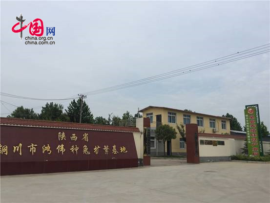 铜川兔业养殖,陕西省同富兔业铜川示范基地