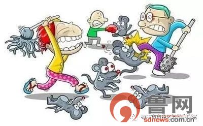 被老鼠咬了耳朵怎么办要打疫苗吗,被老鼠咬出血要不要打狂犬病疫苗