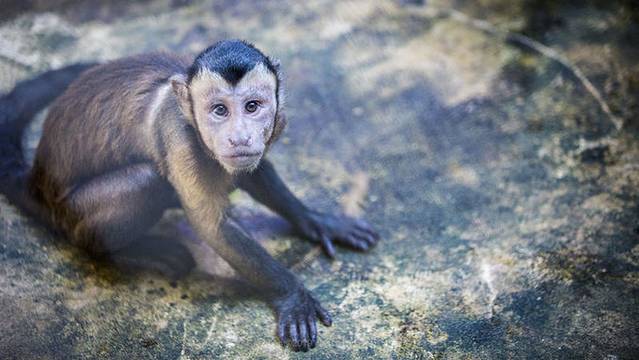 近七天游三亚,海南轻松游