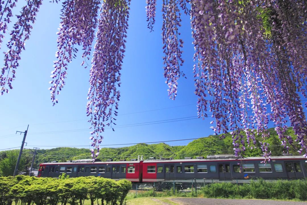 日本自由行必备行李,日本自由行旅游必备物品清单