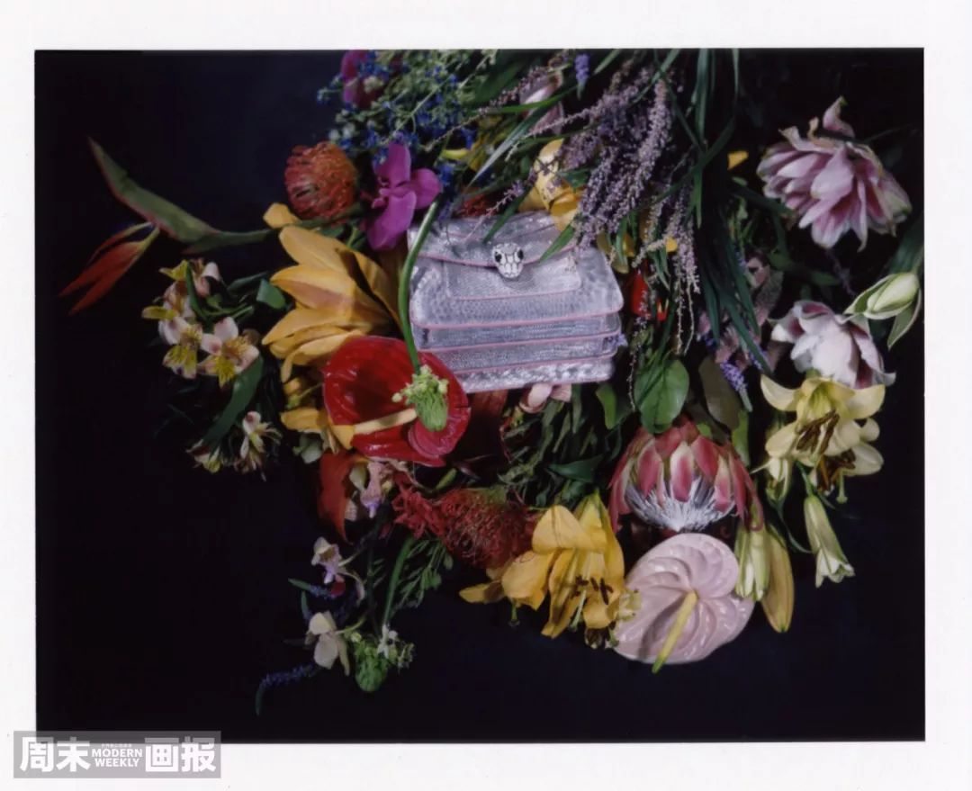 2021所有电视剧的cp,2022年剧集cp排行榜