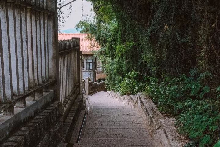 对厦门鼓浪屿景色的描写,鼓浪屿在厦门的哪个地方