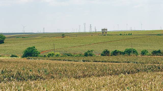 中国大陆最南端湛江旅行攻略,中国大陆最南端湛江景点