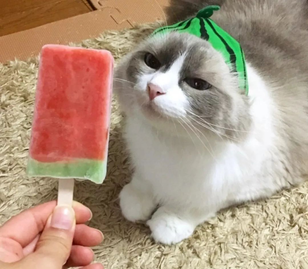 不必打卡网红店就可以吃到的人气冰淇淋！原来都在日本便利店