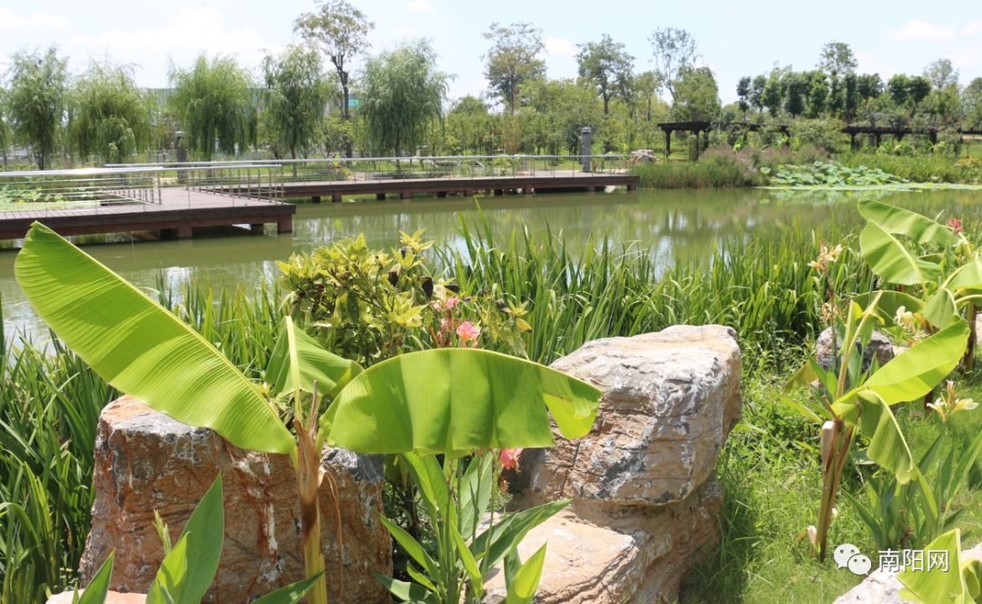 南阳腾飞,南阳飞速发展视频