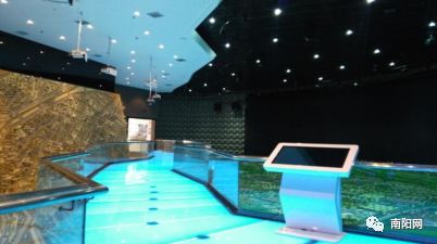 南阳腾飞,南阳飞速发展视频