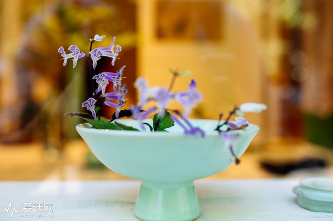 腾龙sp35mm1.4镜身是金属的,腾龙sp17-50mmf2.8镜头