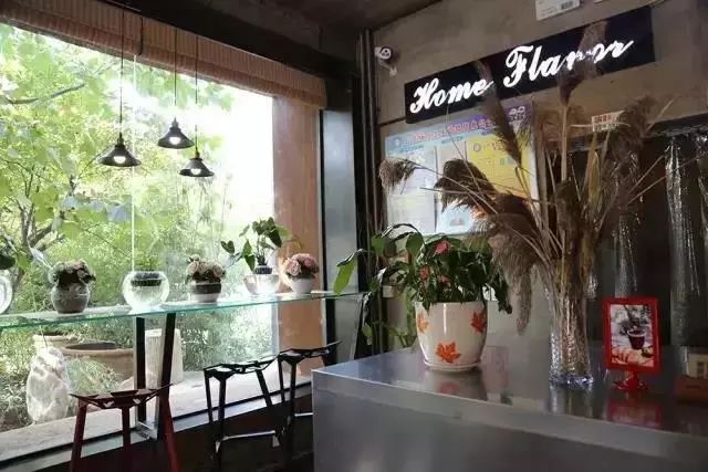 比“童言夫妇”更火爆的，可能只有鹿泉的TA们了！