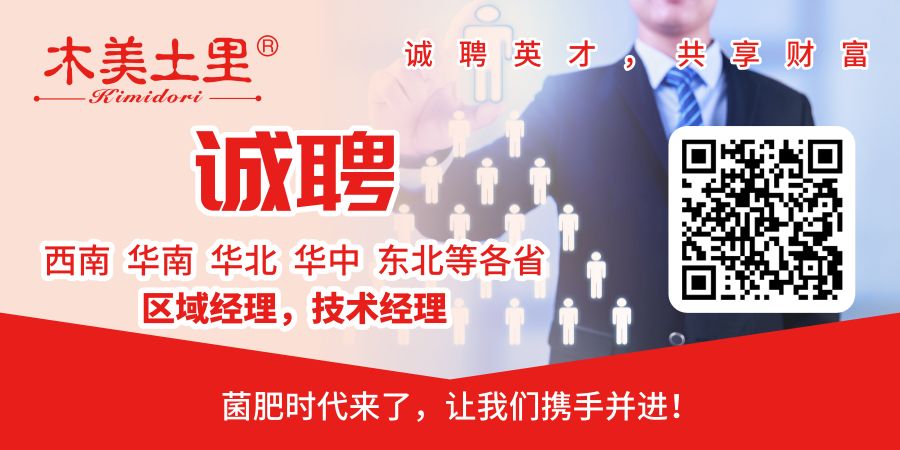 鸡粪为什么不建议使用,鸡粪为什么不能直接使用