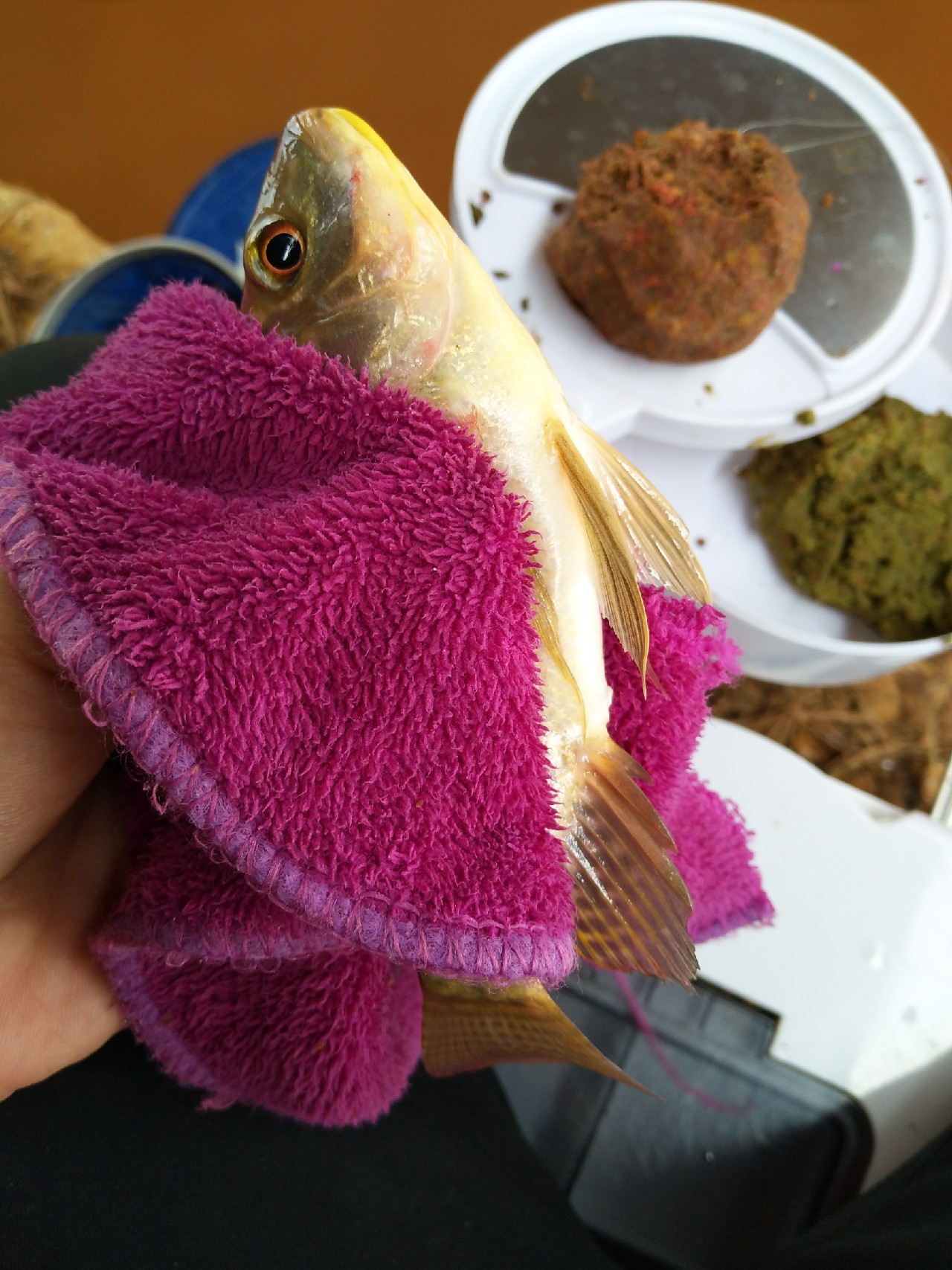 一不小心成坑冠，奈何狂拉还是败给网工...