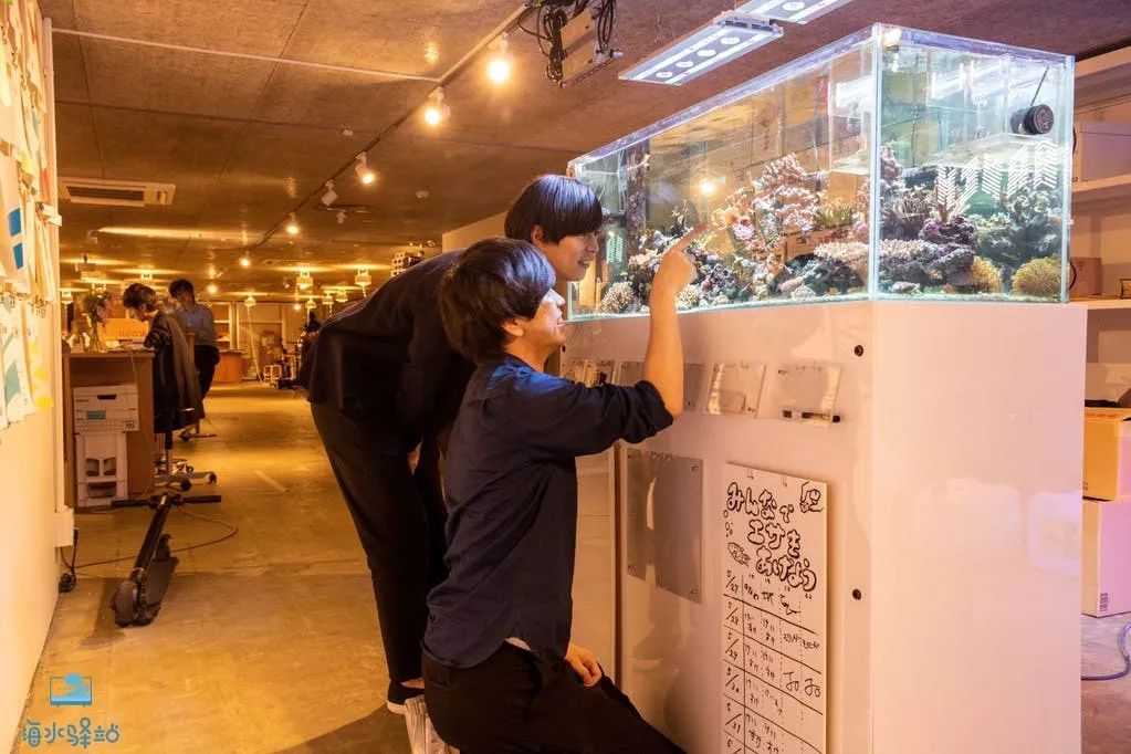 2019年我大学毕业后在日本开个海水店