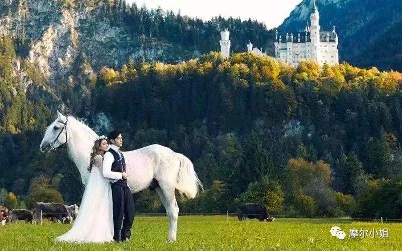 七夕柠檬酸|别人的神仙爱情,从不让人失望