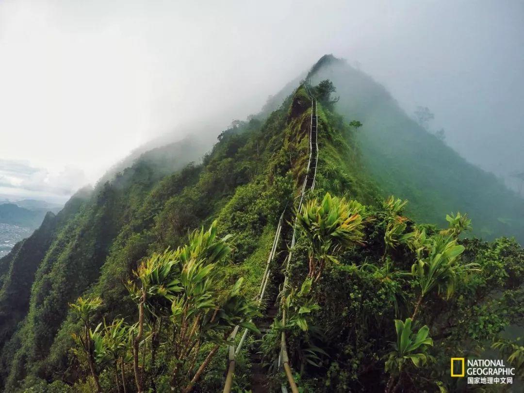 世界上最惊艳的阶梯,世界上最壮观的高架公路