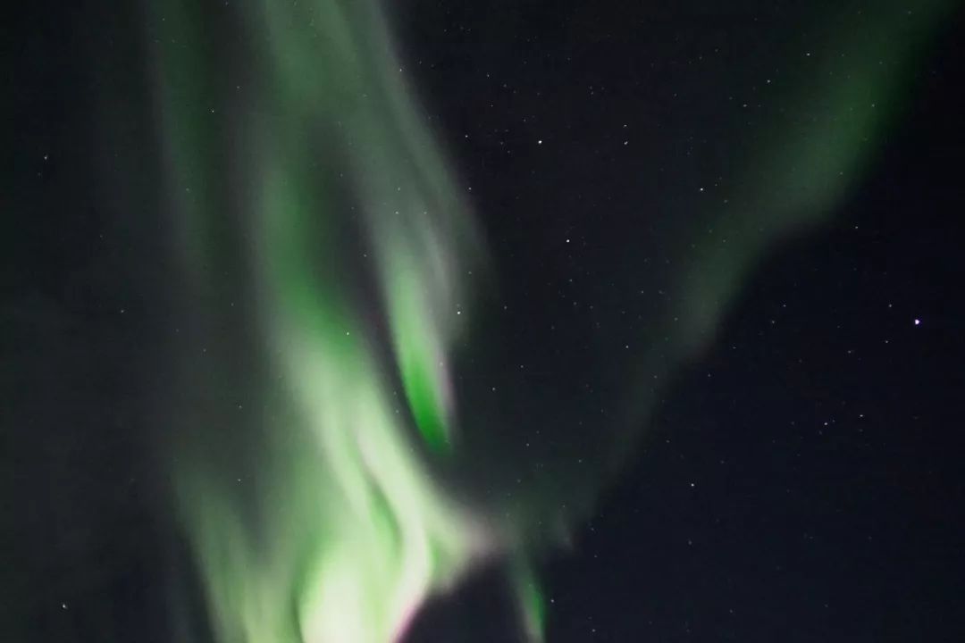 为什么我们迷恋恐龙,为什么我们痴迷篮球