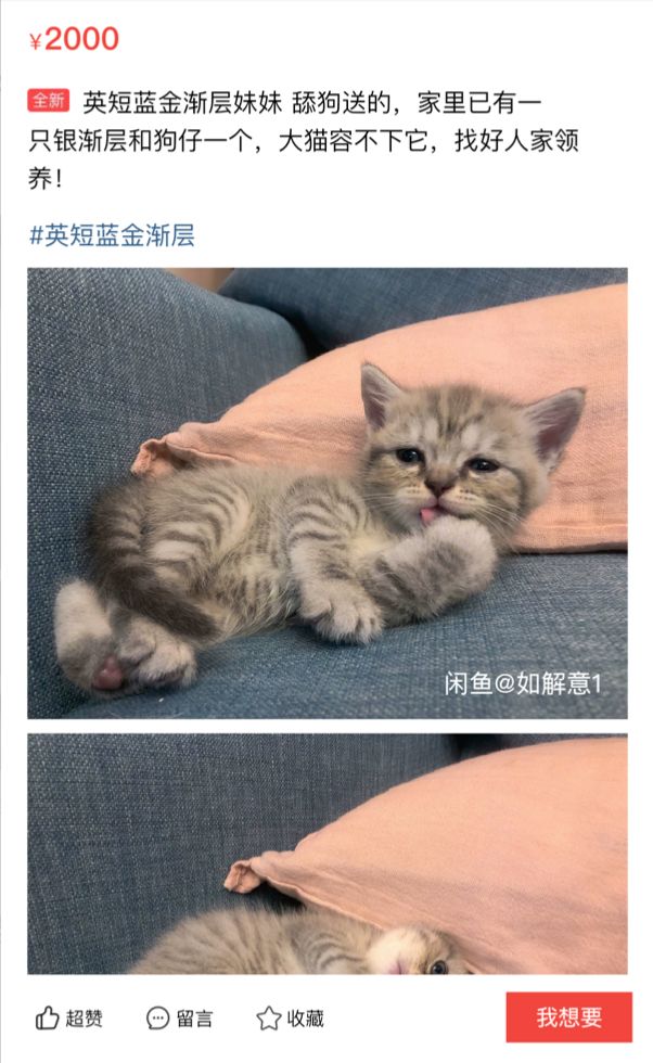 世界各国的送礼风俗和禁忌,男友送礼物的十大禁忌