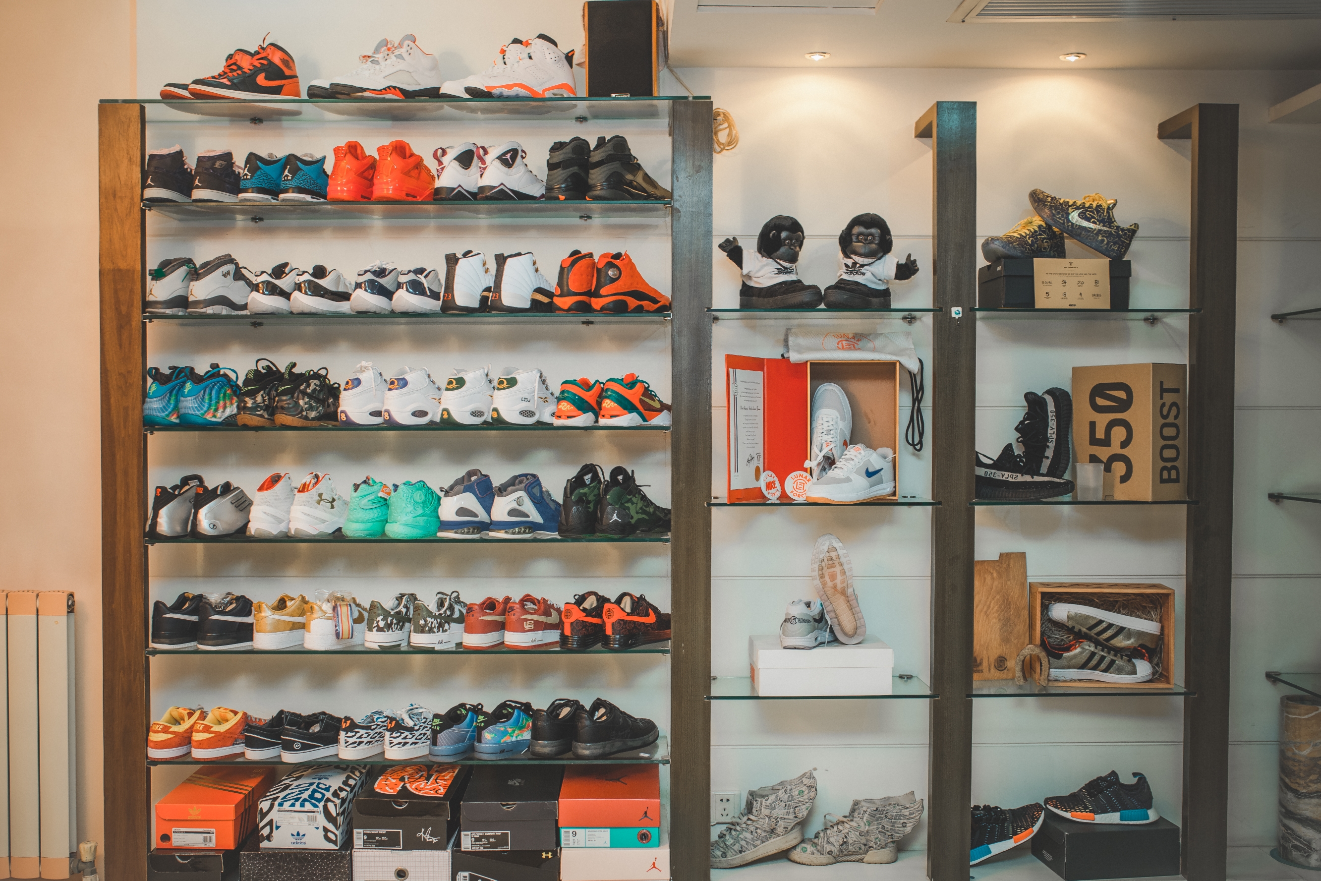 第135期丨一入鞋圈深似海,你中毒了吗?