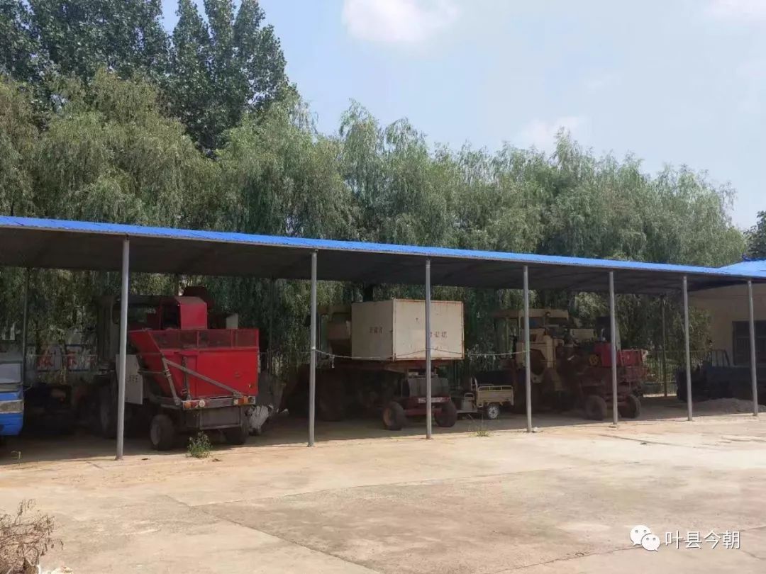 叶县脱贫与乡村振兴有效衔接,乡村振兴可以去做点什么