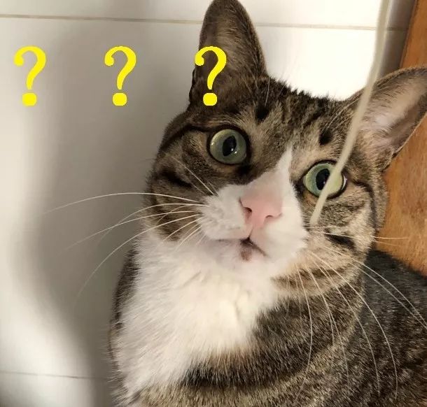 地铁特有的隐藏地图,地铁里的神秘地图