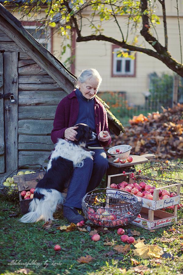 用生命影响生命朗诵央视,用生命影响生命手语朗诵