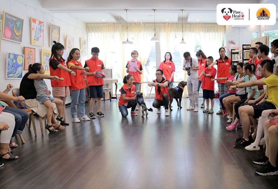 用生命影响生命朗诵央视,用生命影响生命手语朗诵