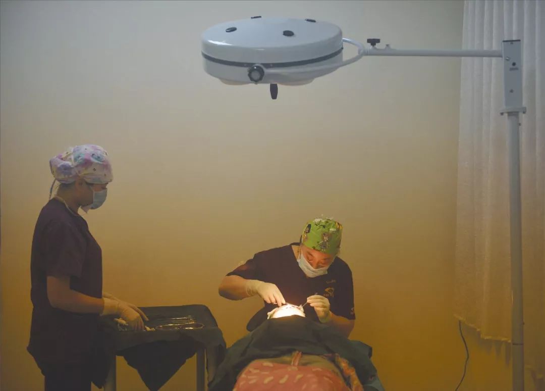 如何看待整容成为开学礼物,整容成了开学礼