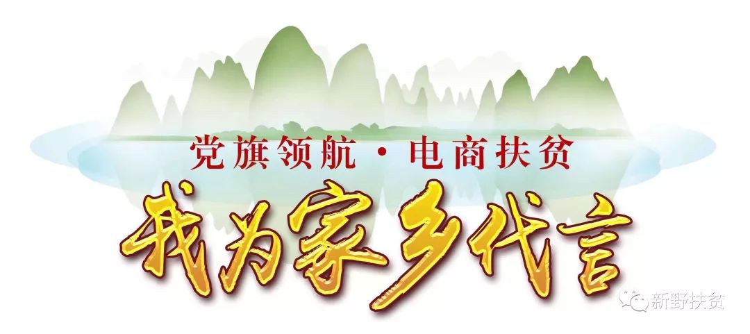 新野县前高庙乡：电商销售助力脱贫攻坚