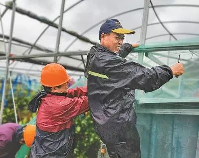 台风利奇马救援完整视频,台风利奇马救援情况