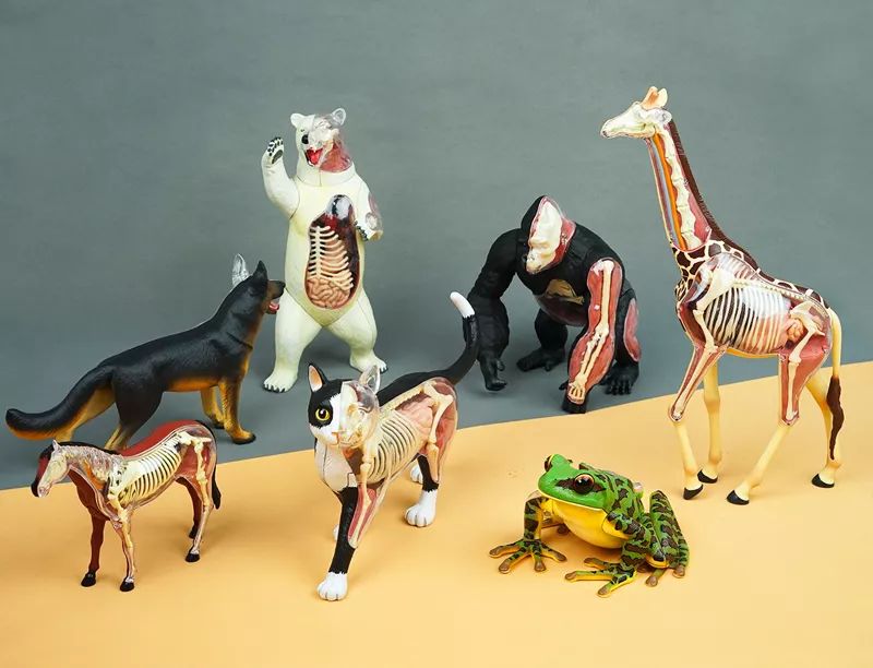 周末这样过总是嫌吃不够怎么办,周末总是过得很颓废