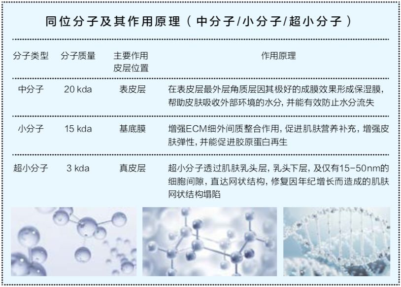 正品抗皱纹玻尿酸原液,vishya和赫梦娜玻尿酸哪个好