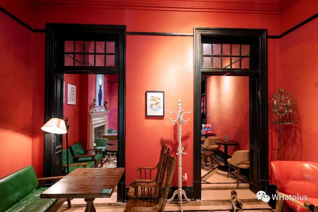 5家猫咖店200只猫，这对夫妻治愈无数武汉人