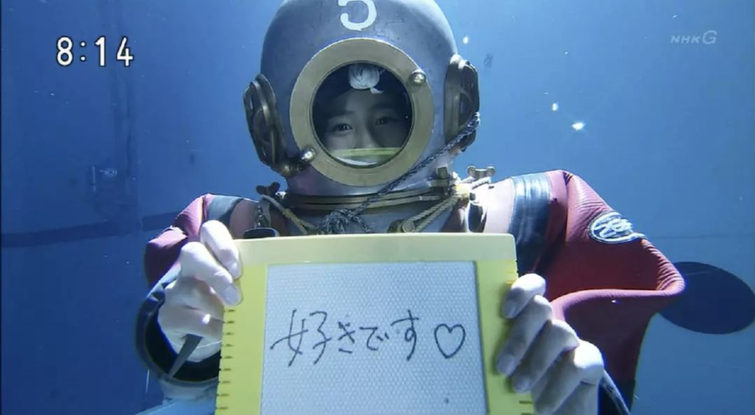 遛狗师一年的工资,遛狗师可以月入过万