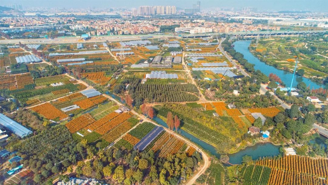 东平水道将开通游船线路！陈村的这些景点，你一定要来看看~