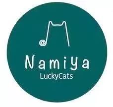 领养猫咪哪一种年龄最合适,领养一只小猫咪的十个理由